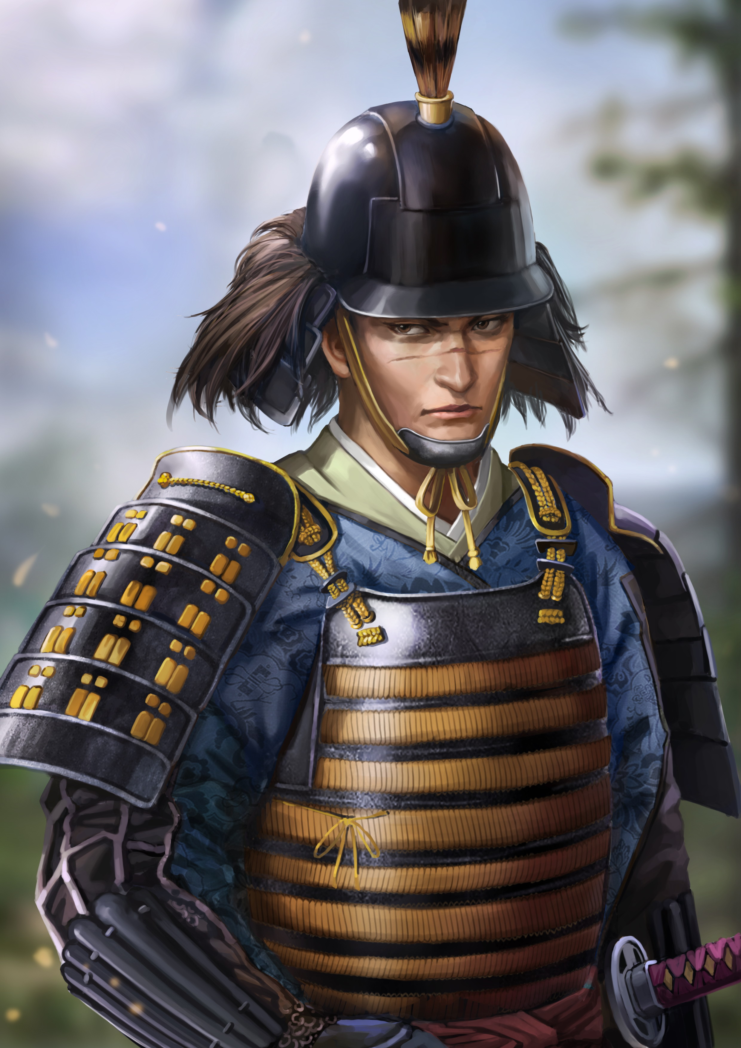 nobunaga ambition sphere of influence