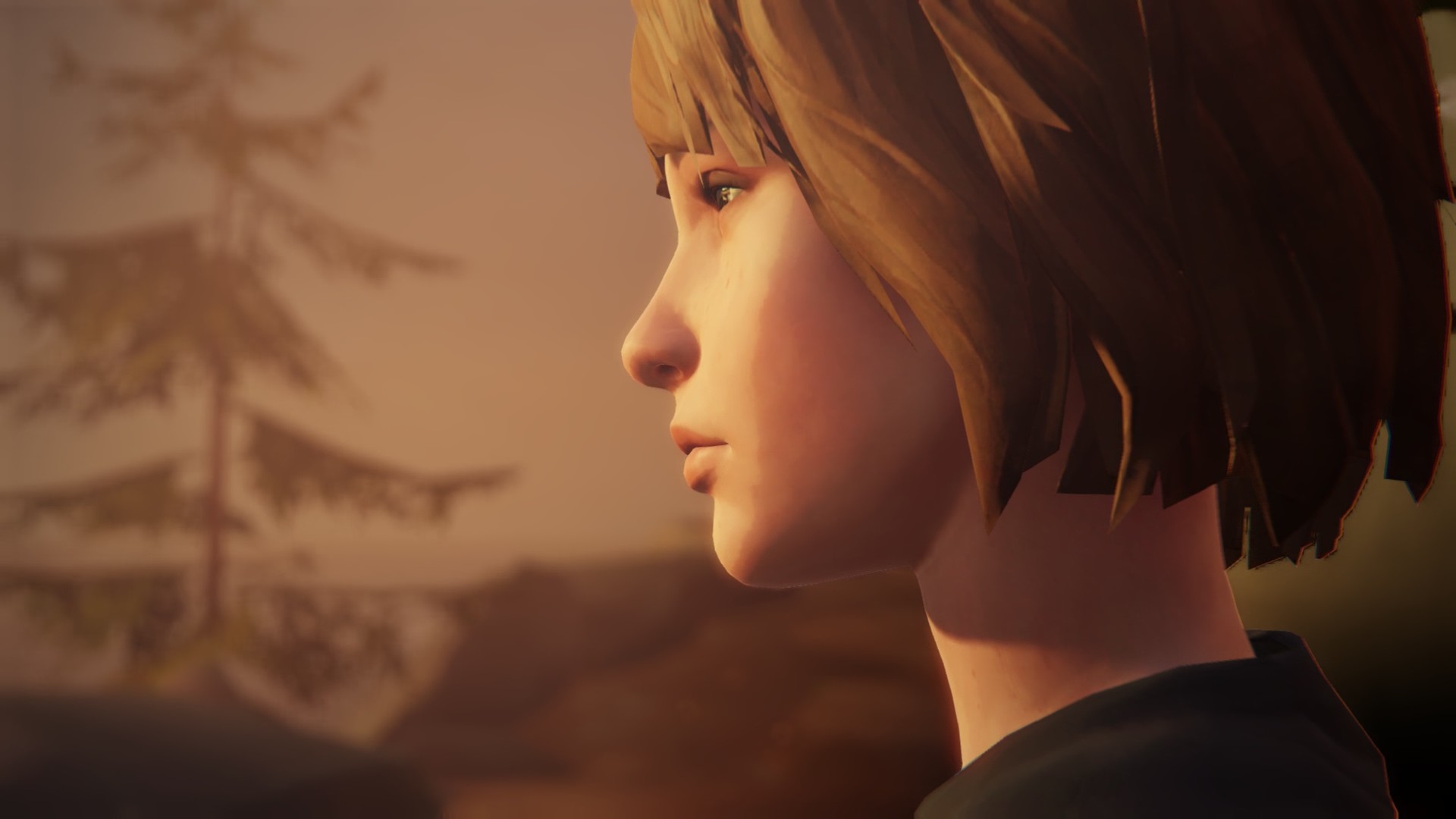 Life is strange 1 эпизод все фото