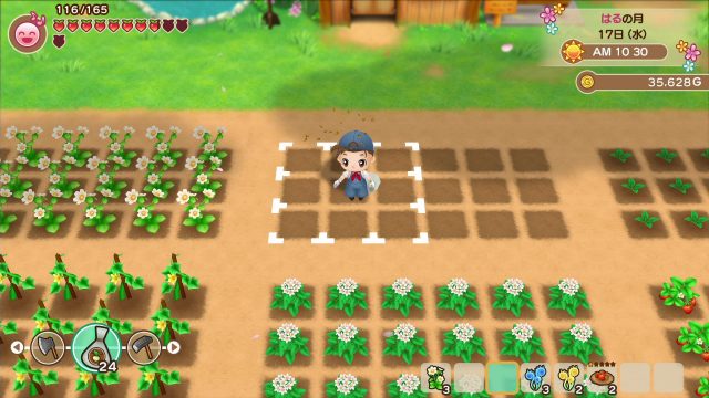 Story of Seasons: Friends of Mineral Town Announced for Switch ...